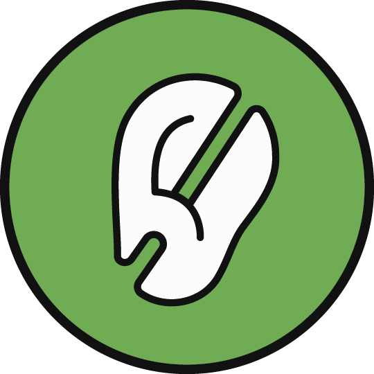 Deafness (Green): Ear symbol with a diagonal line through part of it for varying levels.